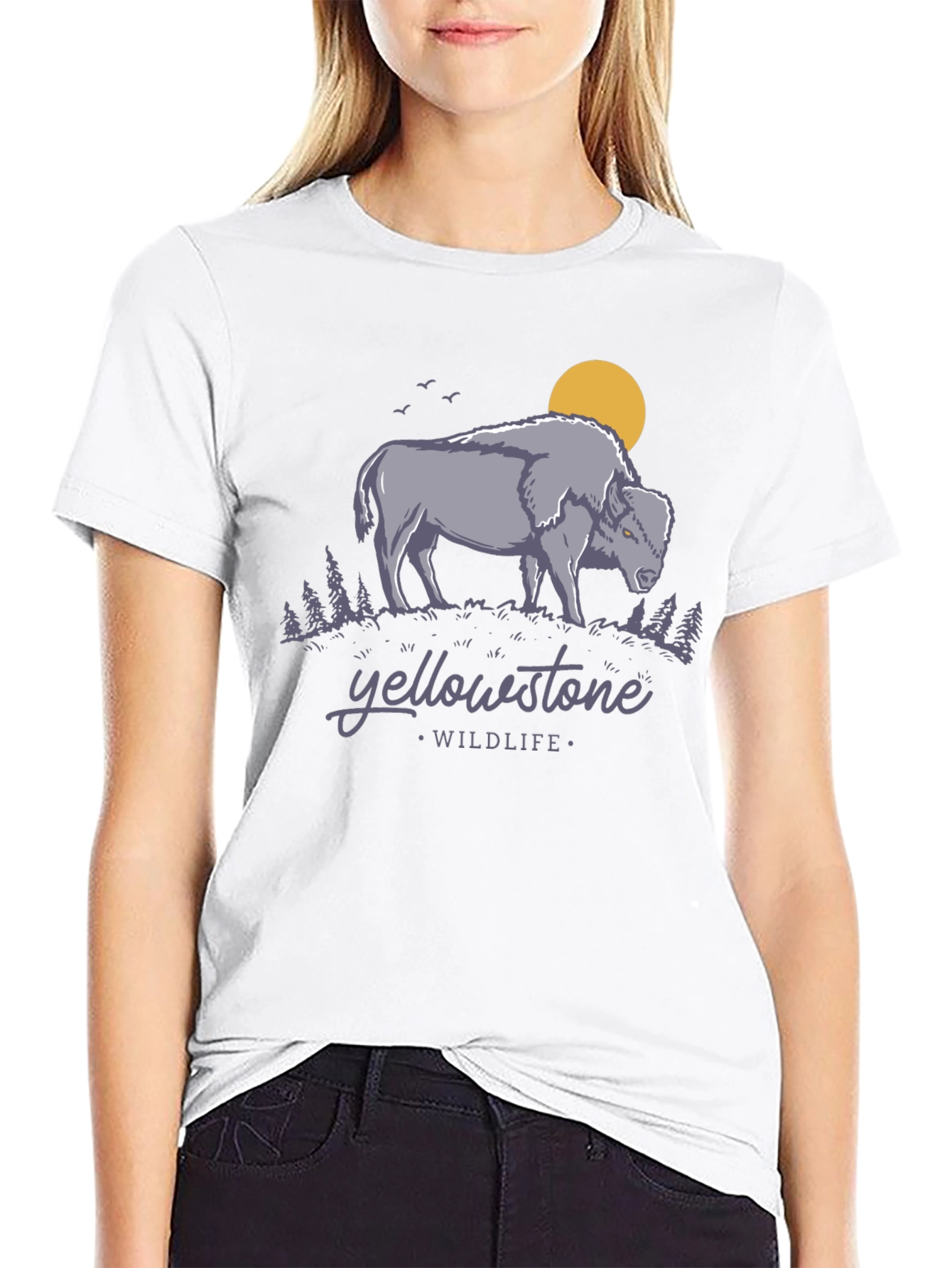 Black Yellowstone Wildlife Graphic Tee - Bison Design view 9