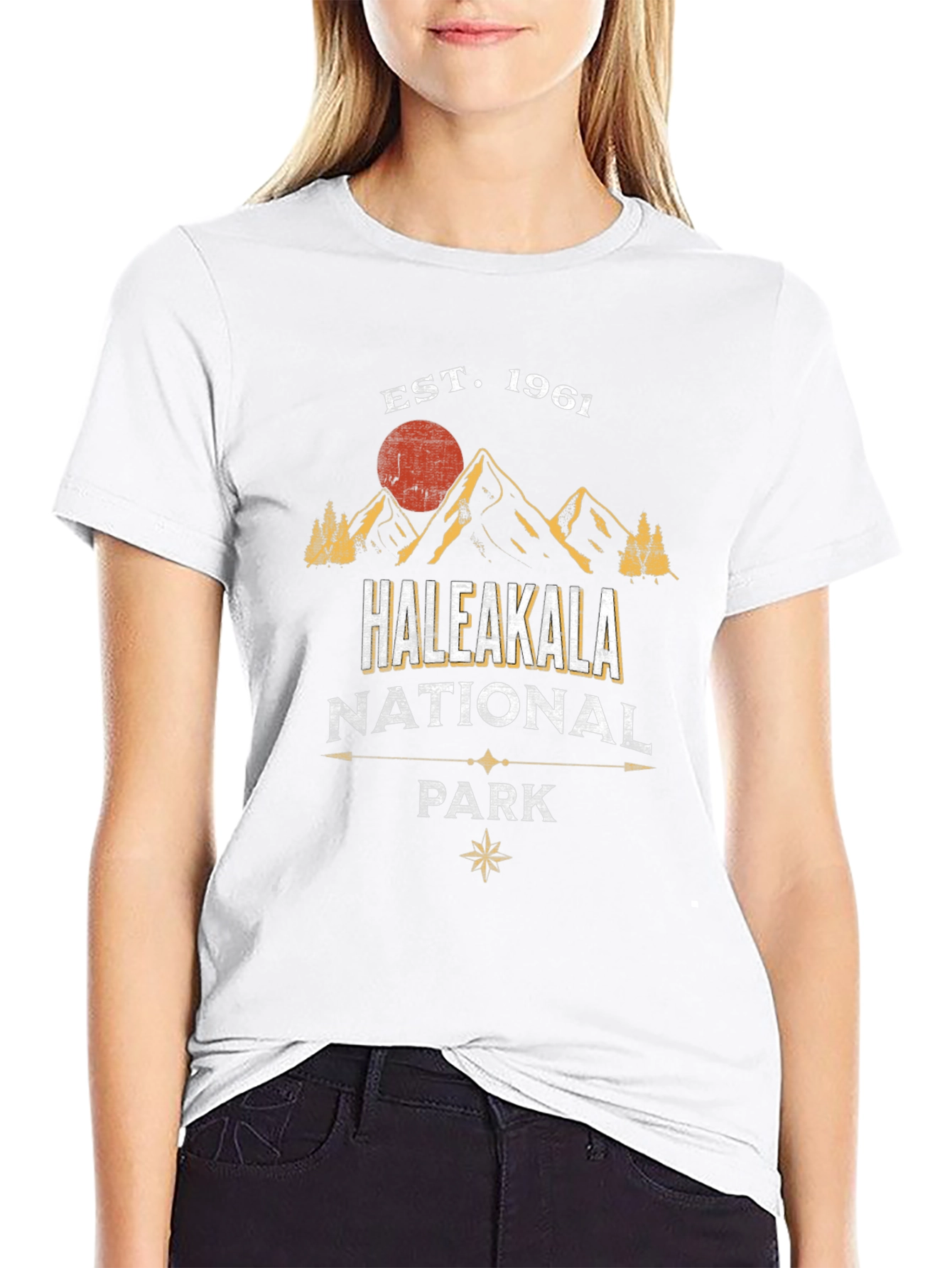 Black Haleakala National Park T-Shirt, Est. 1961 view 9