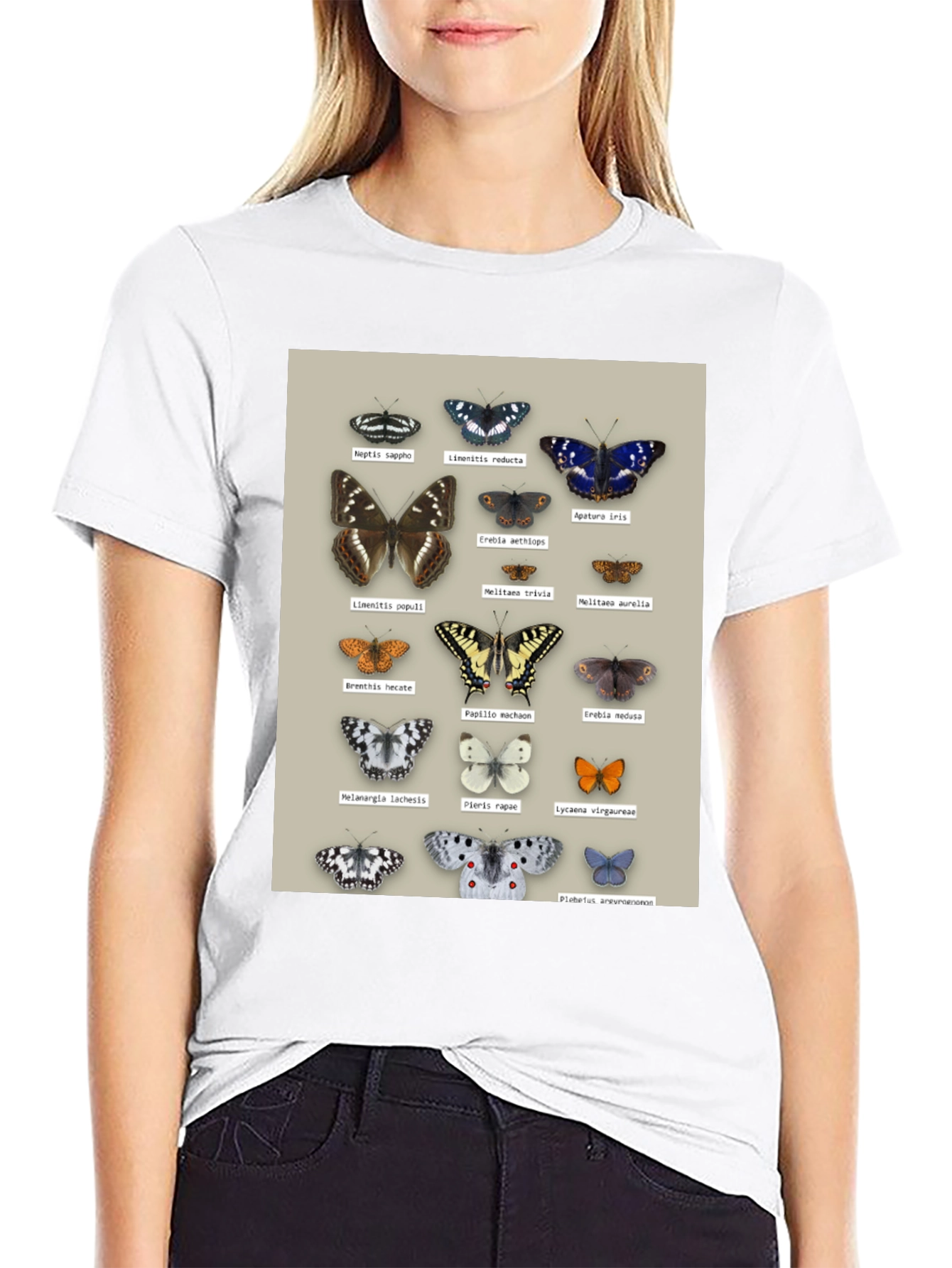 Black Butterfly Print T-Shirt | Nature Lover Apparel view 9
