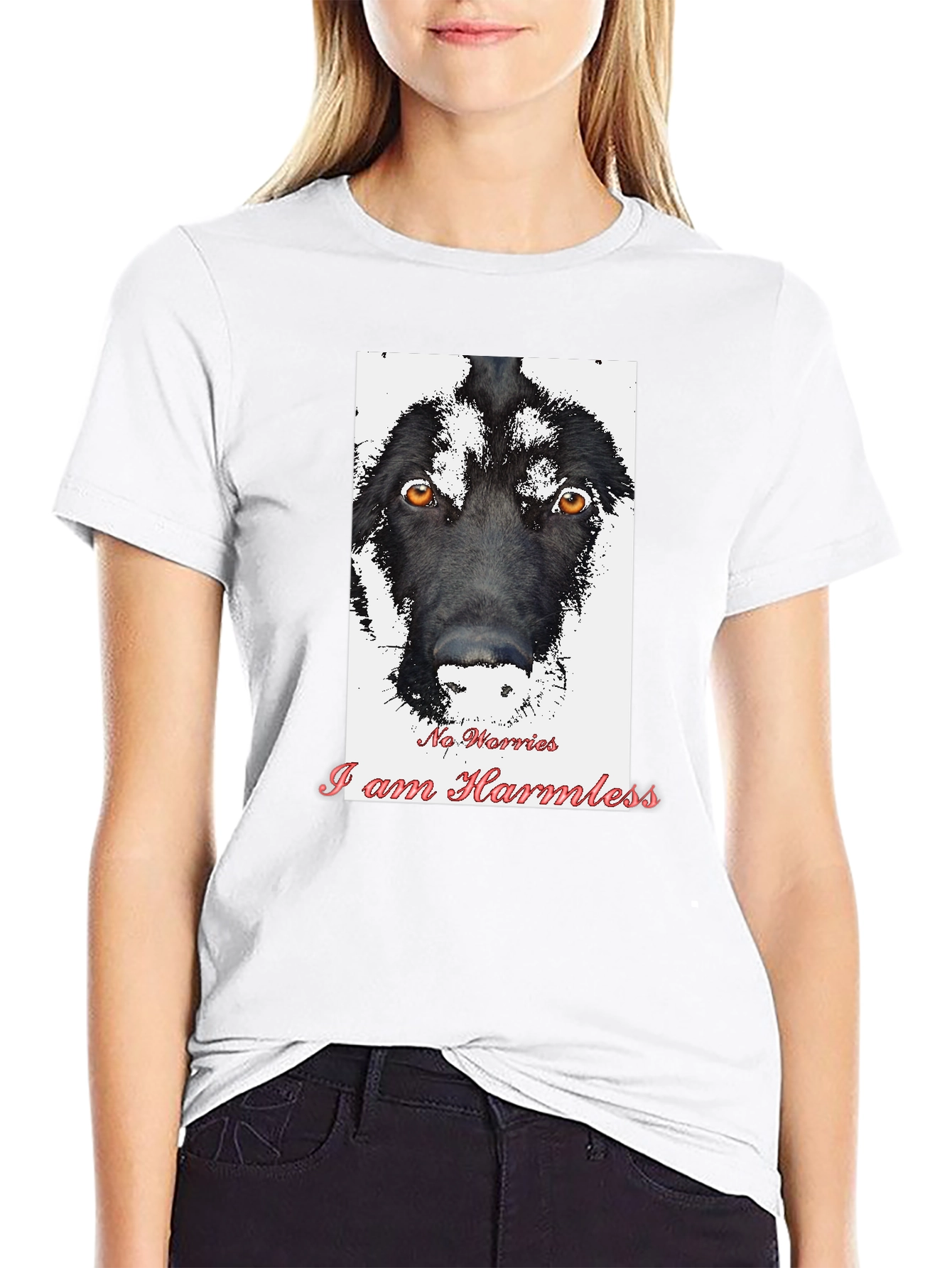 Black Harmless Dog Graphic T-Shirt view 9